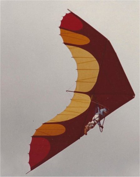 Pliable Moose Delta Wings, Inc. Diffusion Tip hang glider